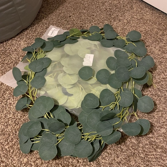 Eucalyptus Garland - Picture 1 of 1